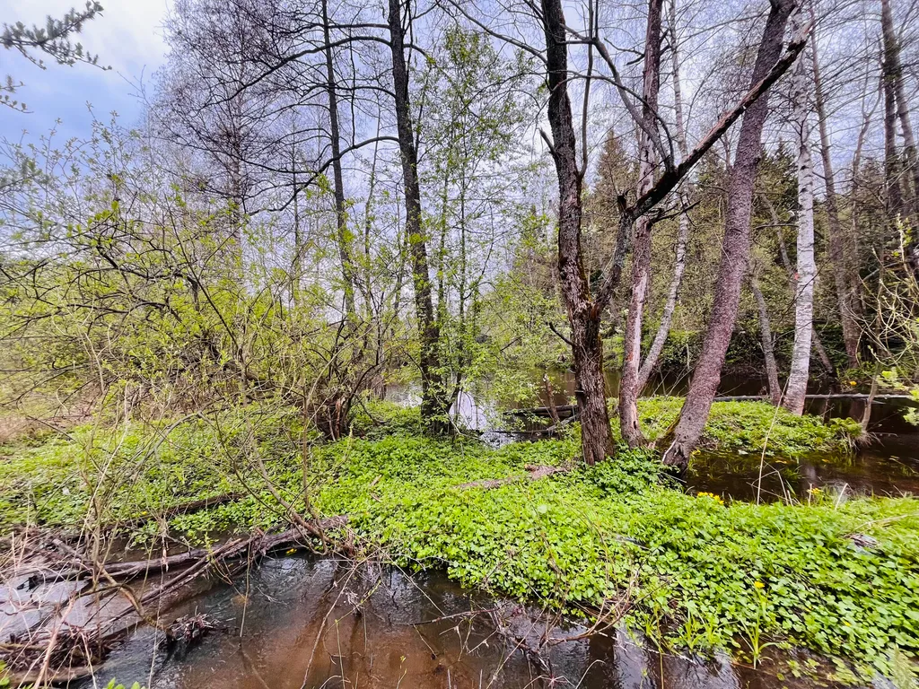 4-комнатный Дом