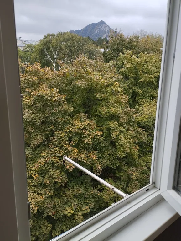 Квартира рядом с источником