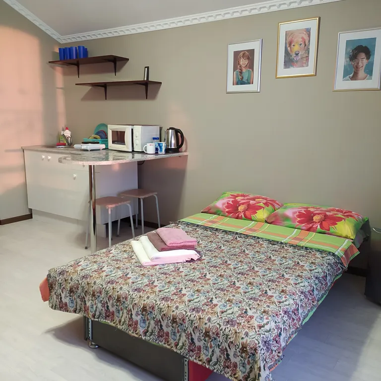 Эксклюзивный апартамент у кремля, вид на кремль