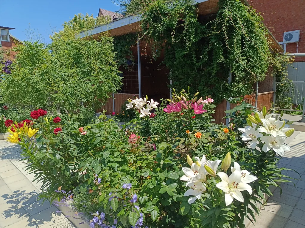 Комната в частном доме