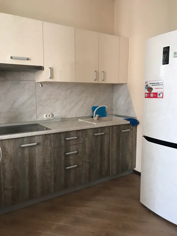 Квартира в Чистых прудах — аренда посуточно в Адлер