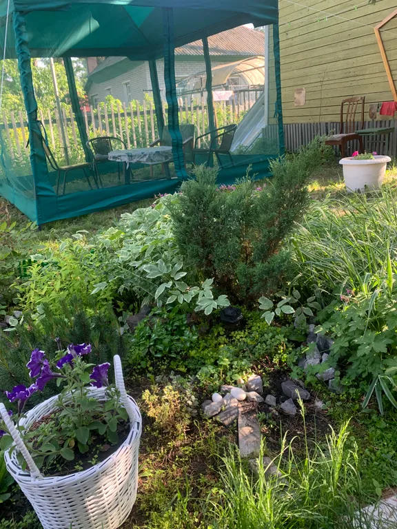 Живописный дом на природе недалеко от города