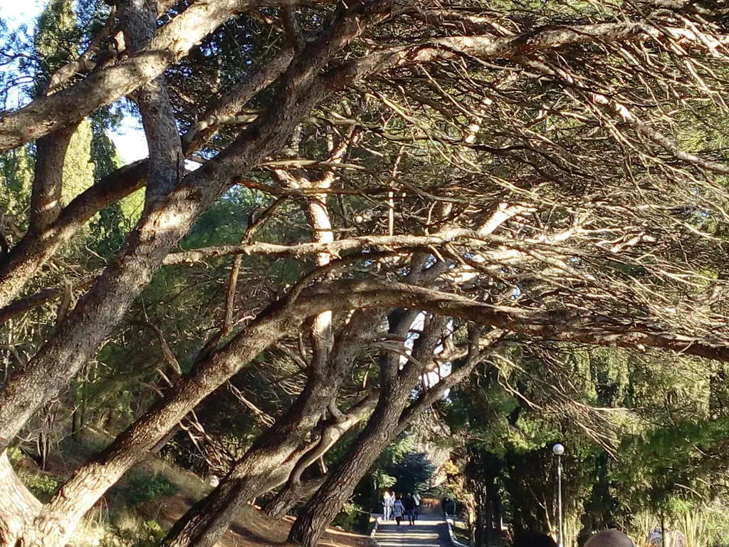 НОВАЯ КВАРТИРА С МАНСАРДОЙ ПАНОРМНЫЕ ВИДЫ НА МОРЕ,ГОРЫ,ФОРОССКИЙ ХРАМ!