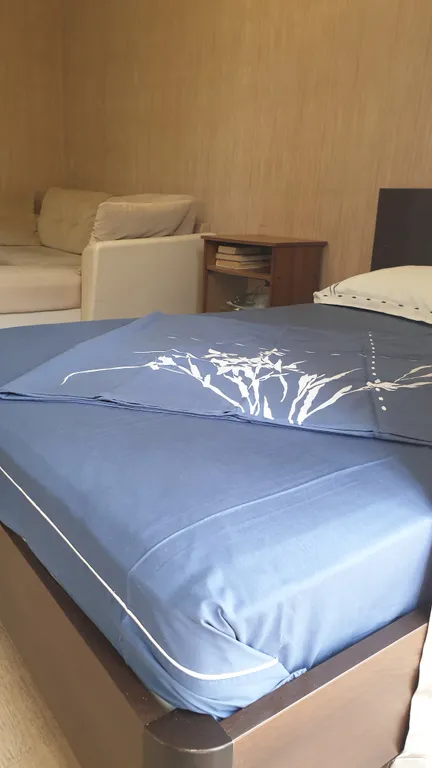 Квартира Уютная однокомнатная квартира-студия в 5 мин от моря в центре города — Гагра