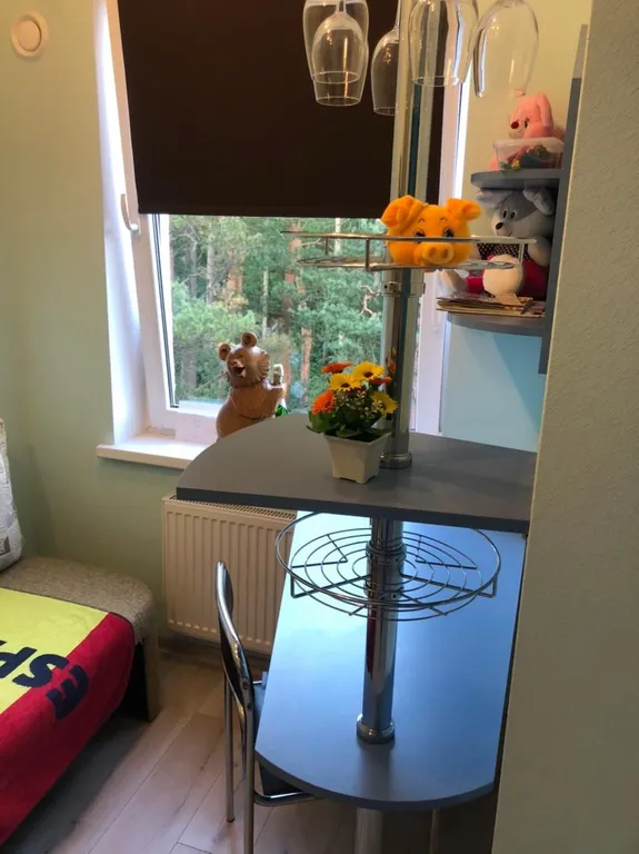 Квартира Квартира Гнёздышко у озера — Светлогорск