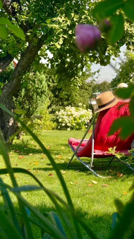 Уютный домик с видом на музей