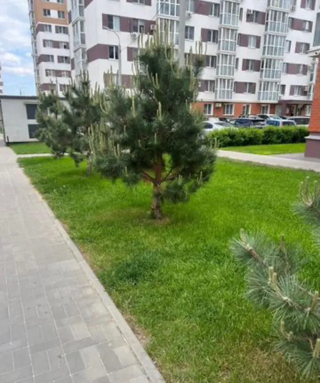 Квартира 1-комнатная Квартира — Волгоград