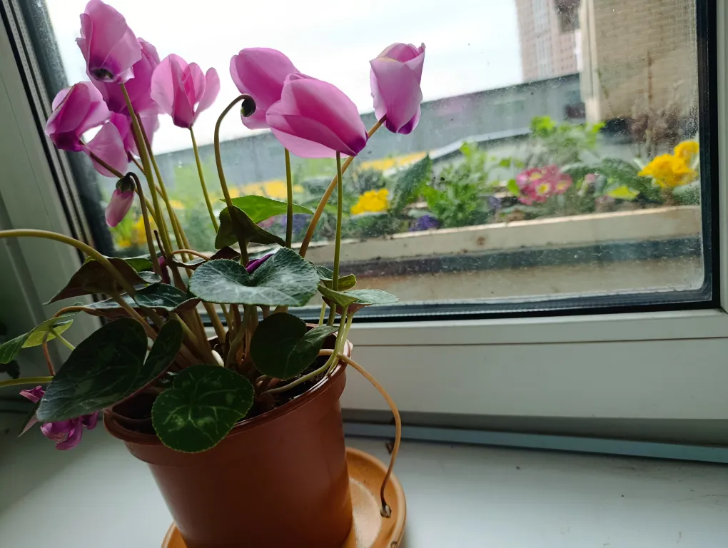 Уютный отдых