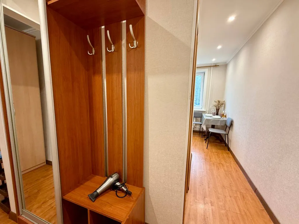 Однушка Пушкин в центре