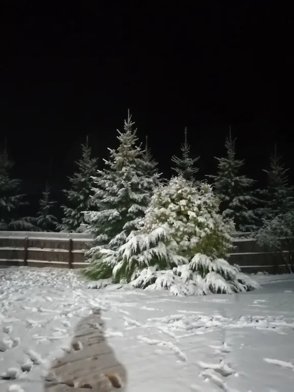 Просторный дом в центре заповедника