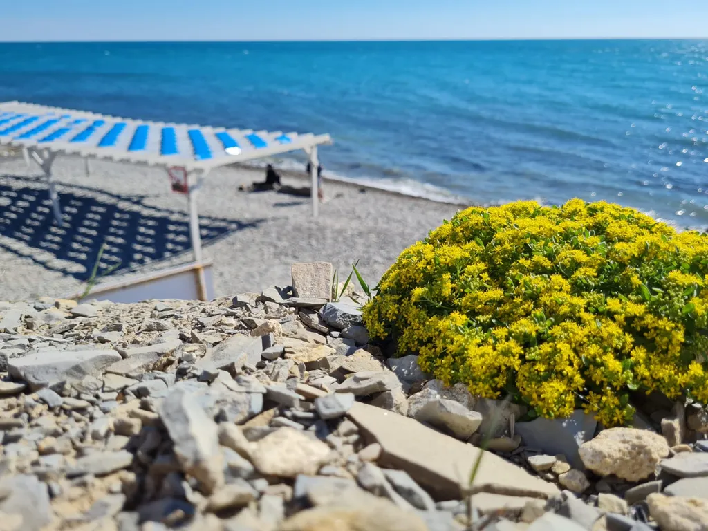 Квартира Пентхаус с видом на море — Варваровка