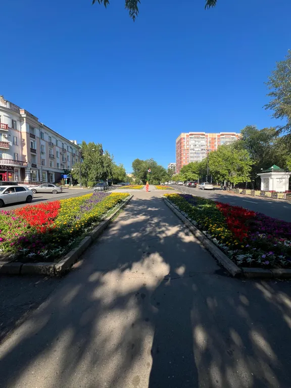 Уютная студия в самом центре города