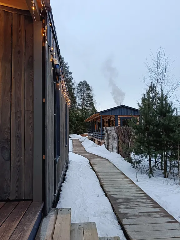 Темный домик на опушке леса