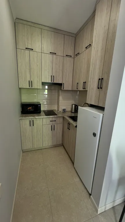 Квартира 1-комнатная Квартира — Сириус