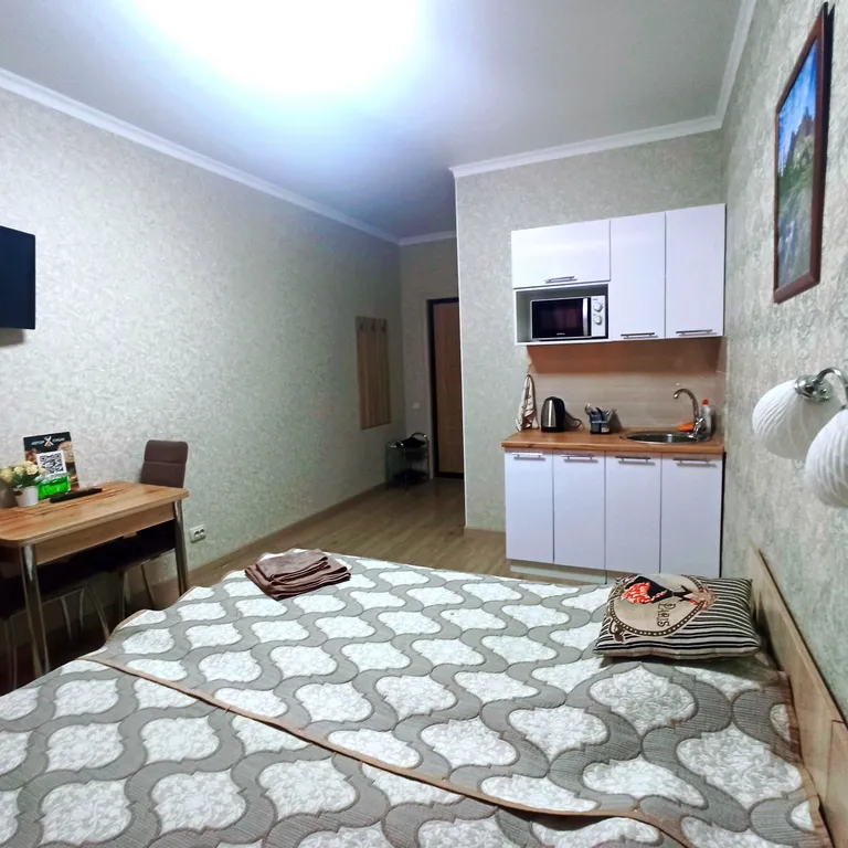 Уютная квартира-студия