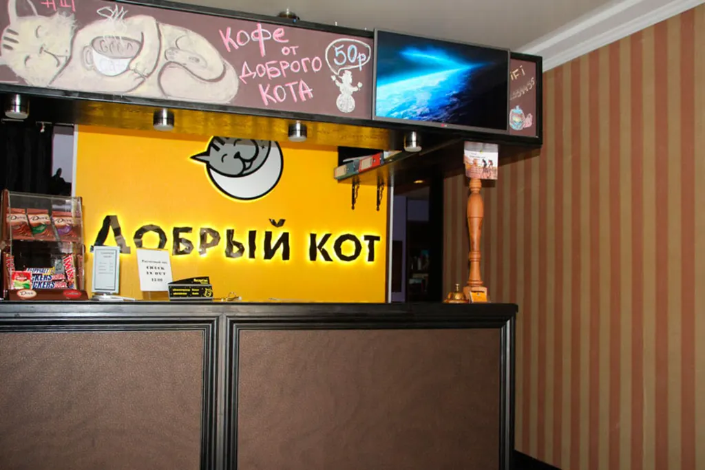 Добрый кот