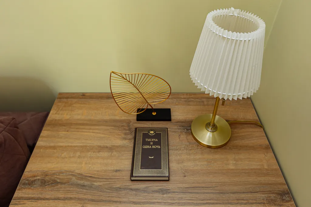 Две минуты и вы уже на Острове Канта, в самом центре Калининграда!