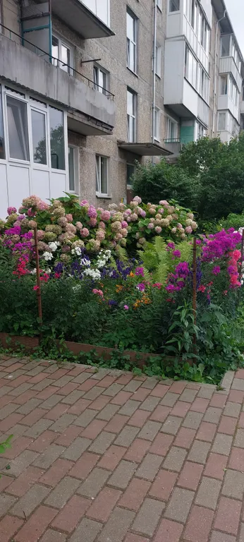 Квартира Квартира Пионерский на Октябрьской — Пионерский