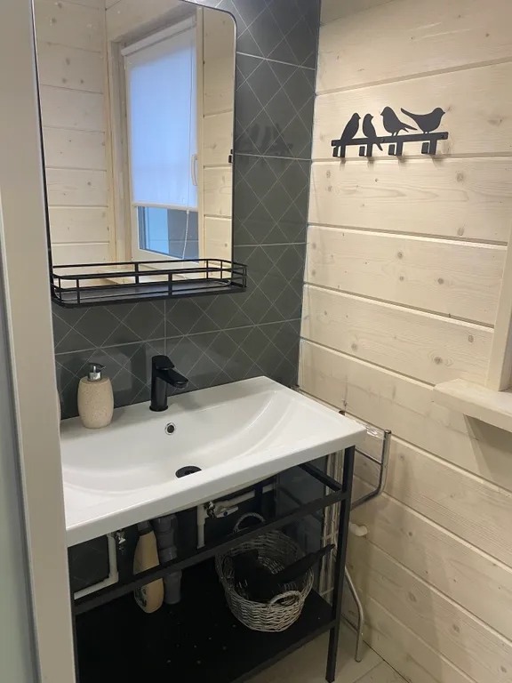 Снегири&Синички