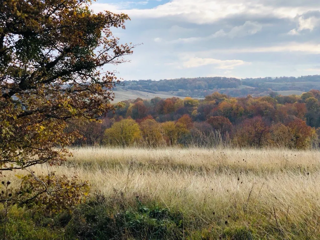 Коттедж Дизайнерский Барнхаус в природе Адыгеи — Новосвободная