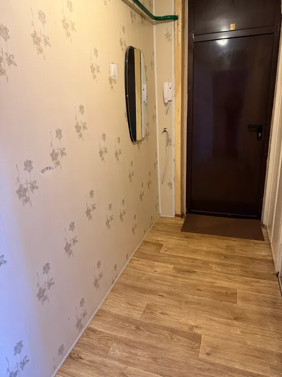 Просторная однокомнатная квартира в пяти минутах от ИК5