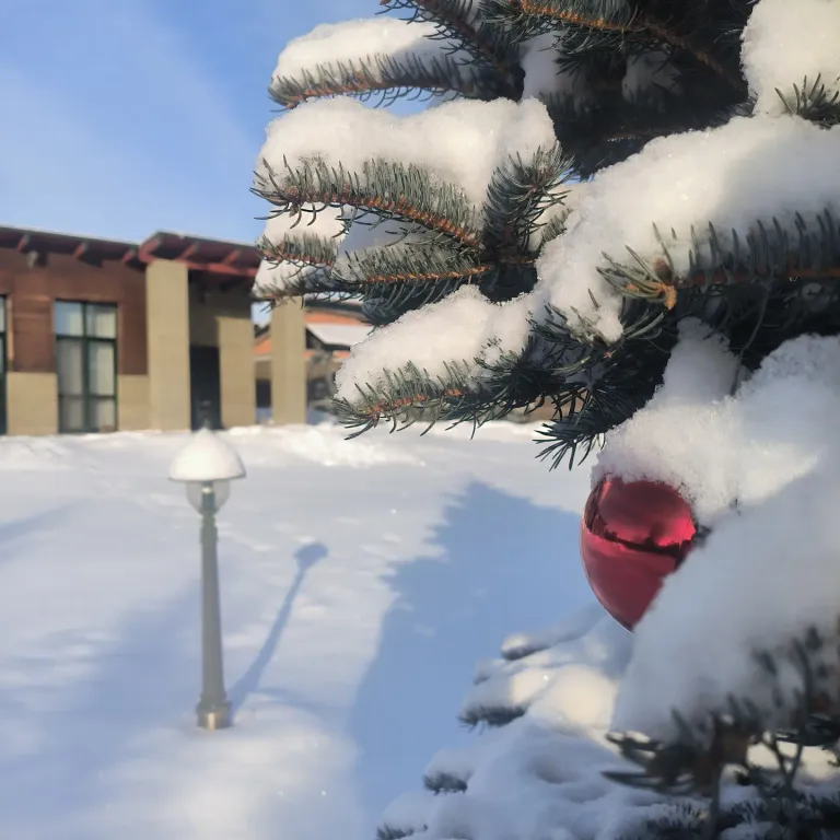 Коттедж Агроусадьба Панский Вал — аренда посуточно в Минск