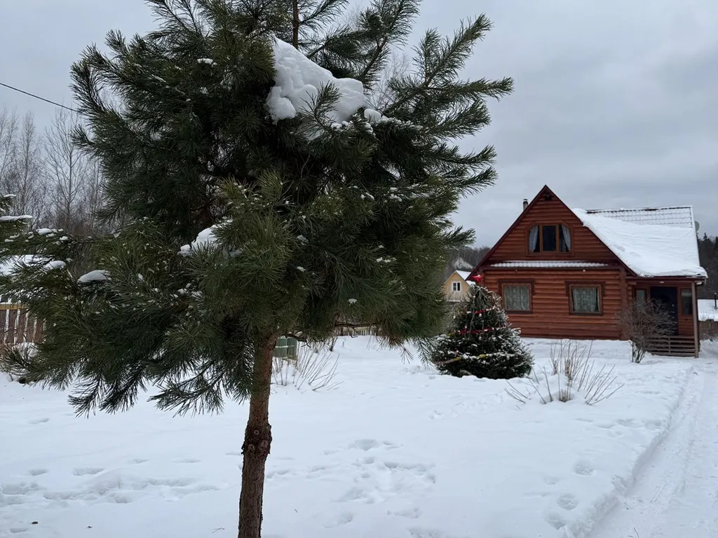 Уютный дом в тихом месте