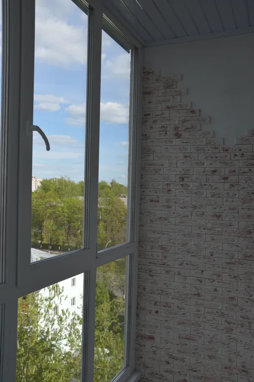 Евродвушка с панорамным остеклением