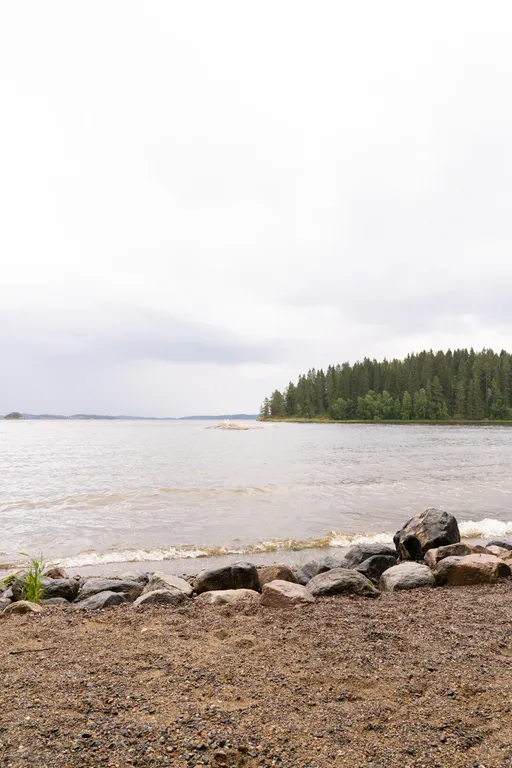 Уютный дом с дровяной сауной