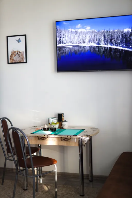 Уютная студия с видом на реку Иртыш