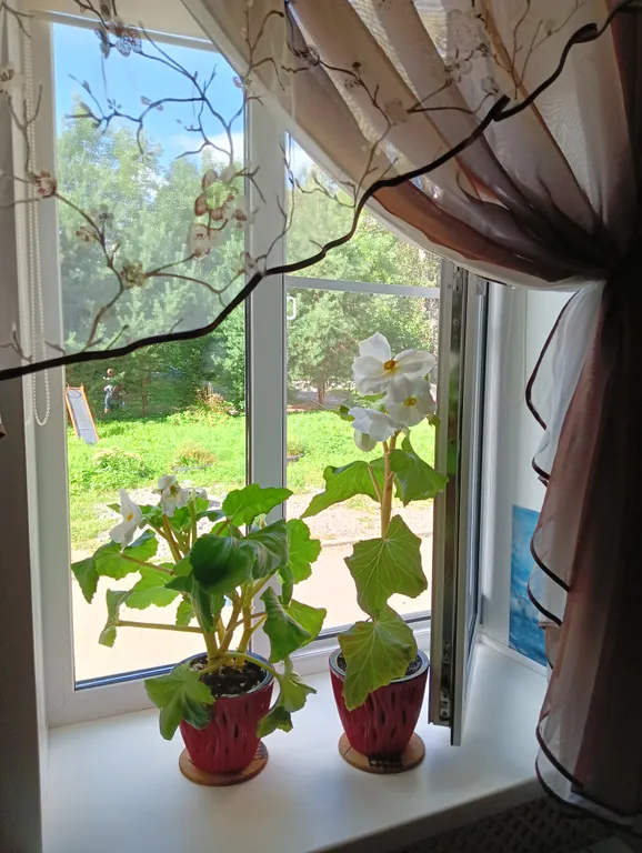 В гостях у Сказки