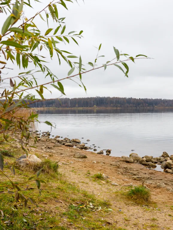 Квартира с видом на озеро Сенеж