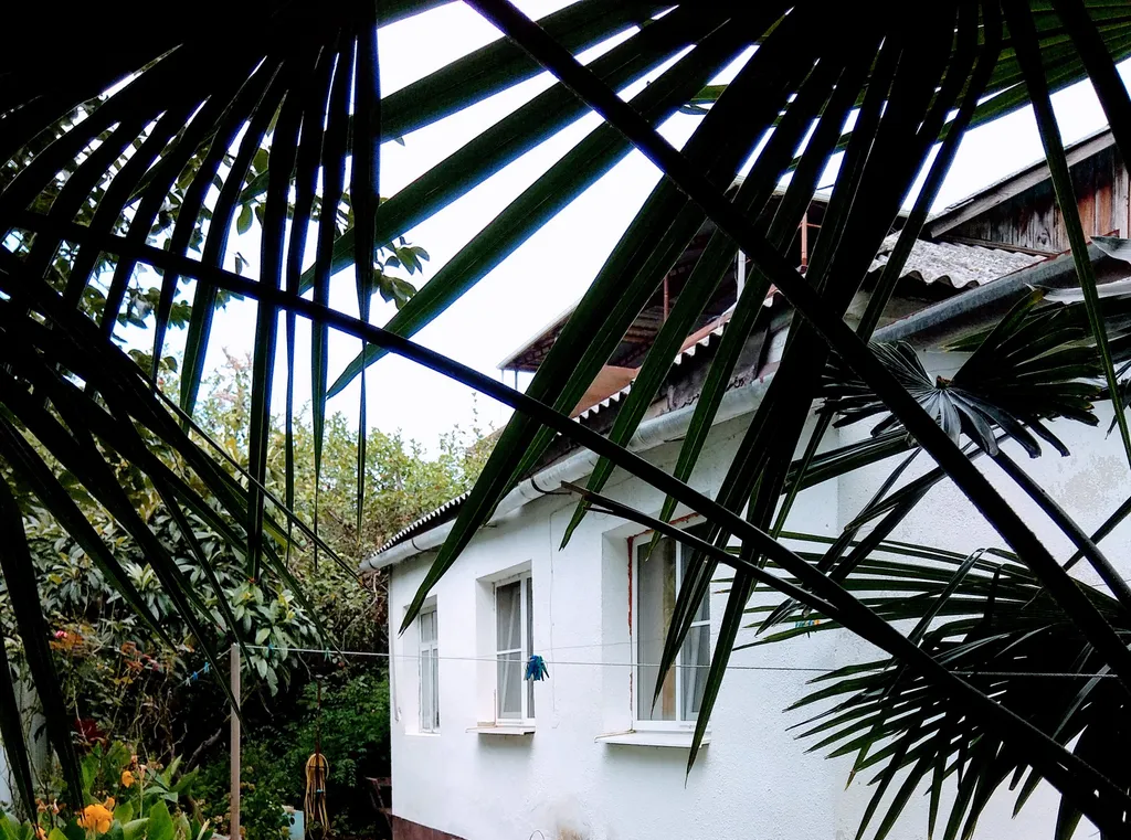 Квартира Уютная комната рядом с морем — Лоо