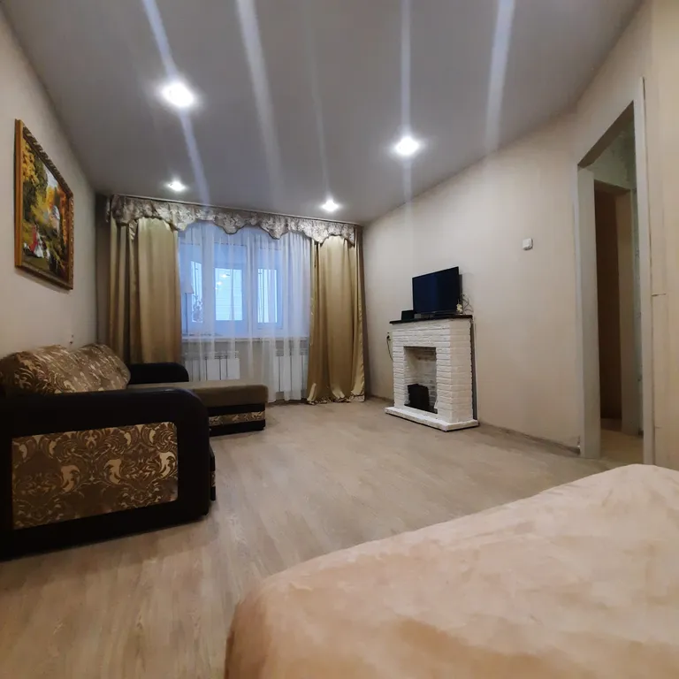 Мишкин дом 1-комнатная метро Проспект Победы (возможно длительно)