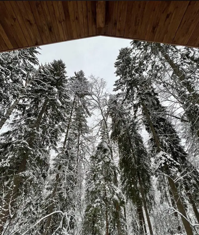 Коттедж Сказочный Шале с камином и джакузи в живописном лесу — Шадрино