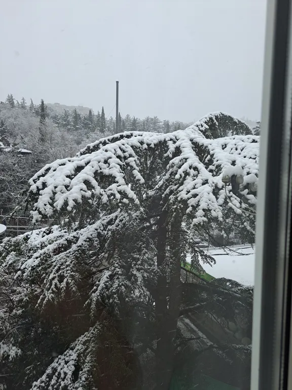 Уютная квартира в центре Ялты, ровное место, развитая инфрастуктура