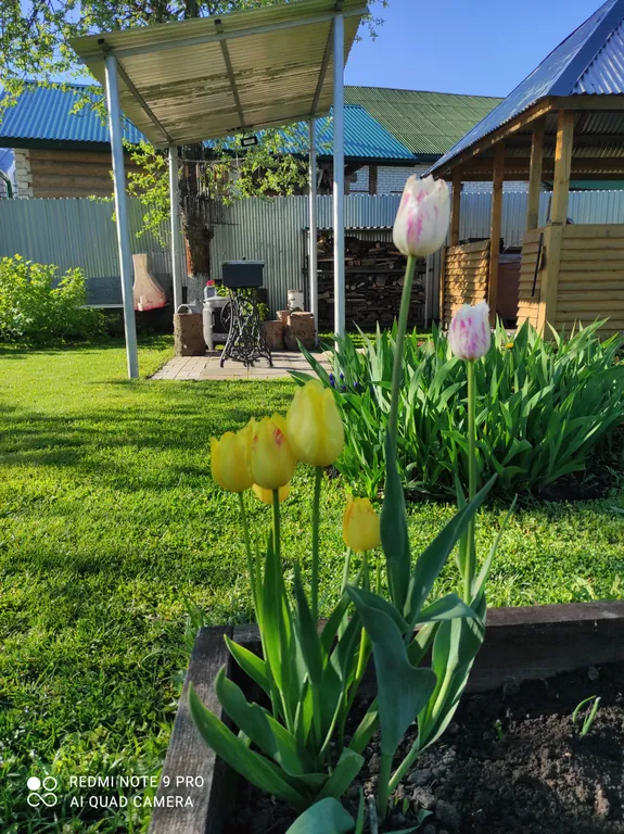 Частный дом Валентина