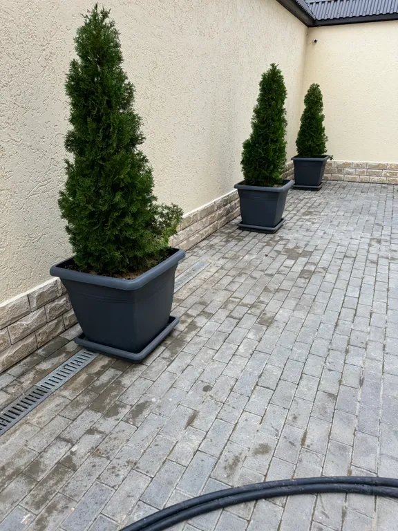 Апартаменты с видом на достопримечательность большую белую Месеть