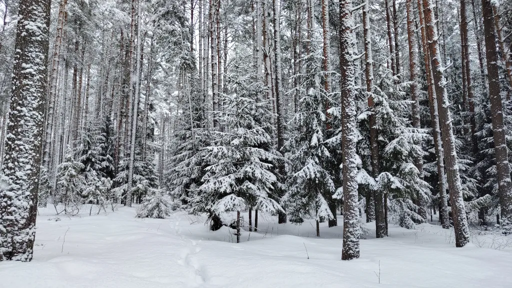 Коттедж Коттедж Амфрейм 6 местный у озера с баней, чаном и детской площадкой с батутом — Ланино