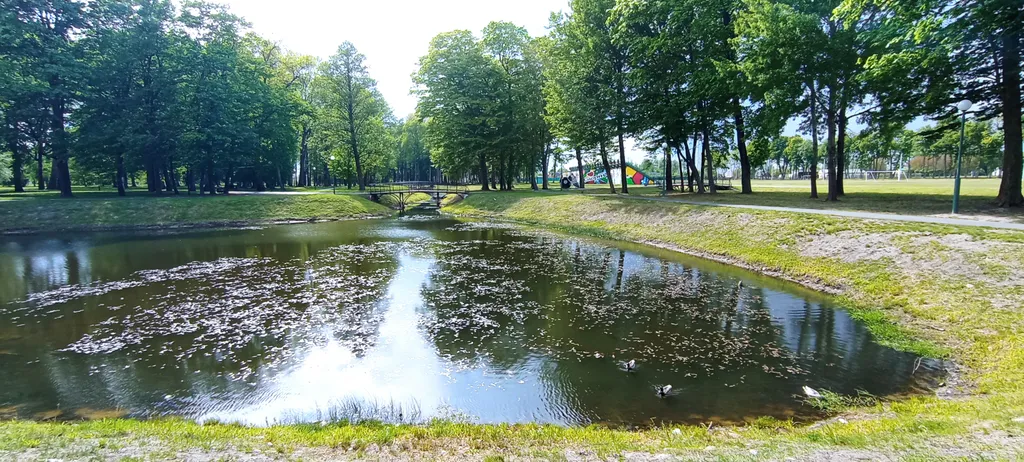 Апартаменты Parkovaya Street с видом на парк Швыковских