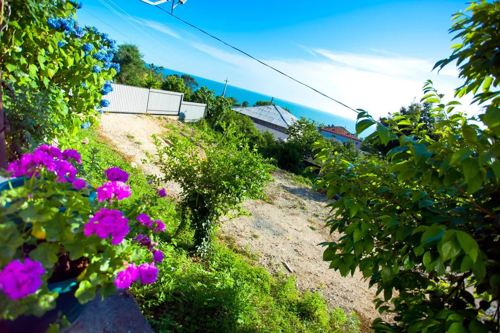 В гостях у Аиды