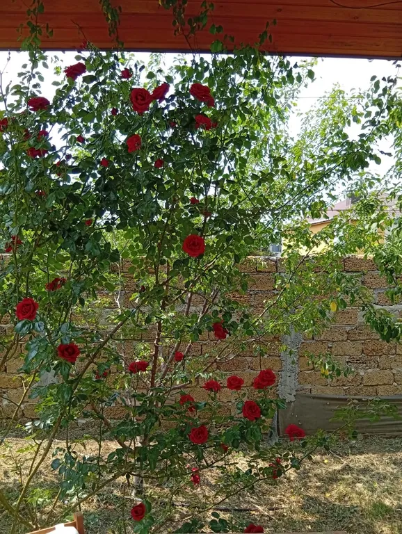 Уютный дом у моря