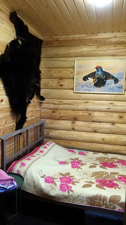 Фиалковый дом на Ладоге