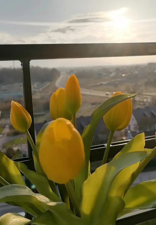 Квартира Квартира студия с видом на звезды на первой линии моря — Пионерский