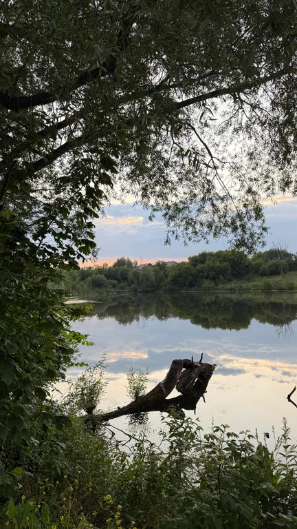 Премиальный дом с дизайнерским камином на дровах в лесу