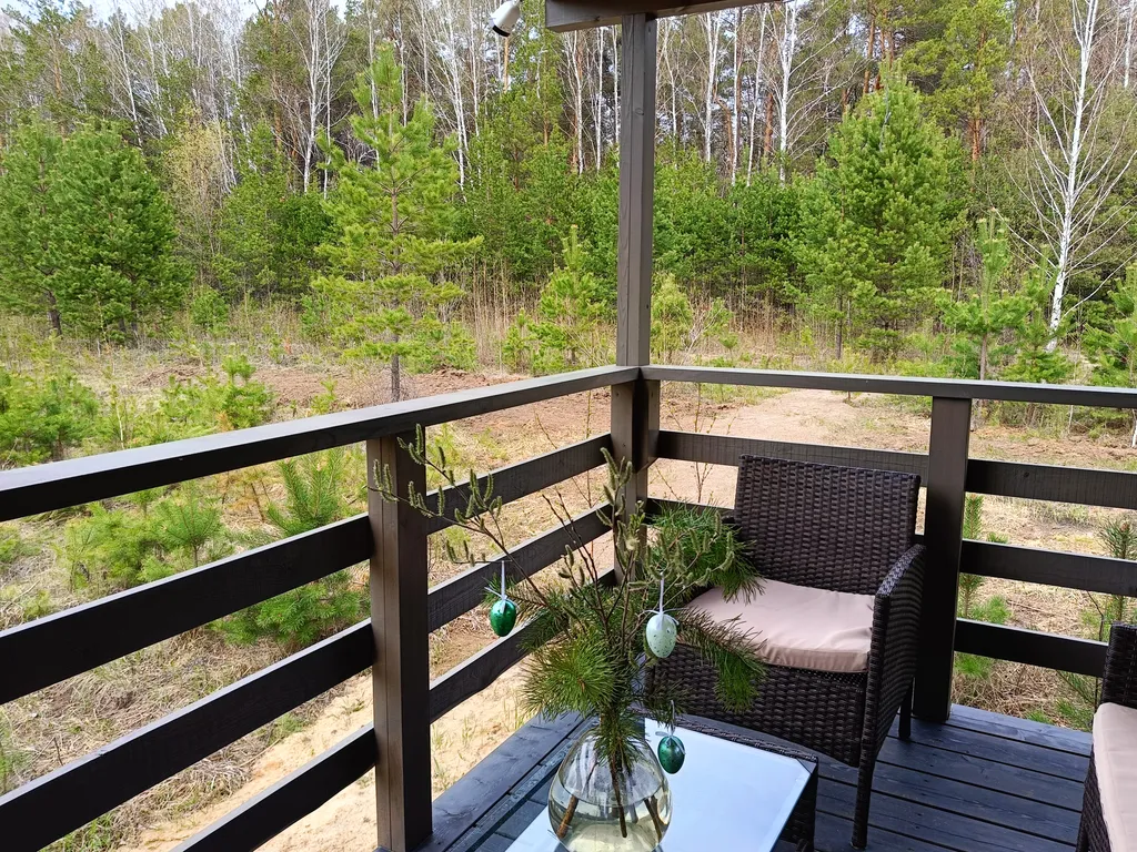 Темный домик на опушке леса