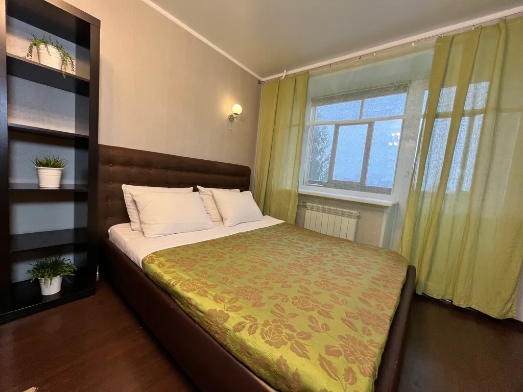 1-комнатная квартира в деловом и историческом центре города с новогодней елкой