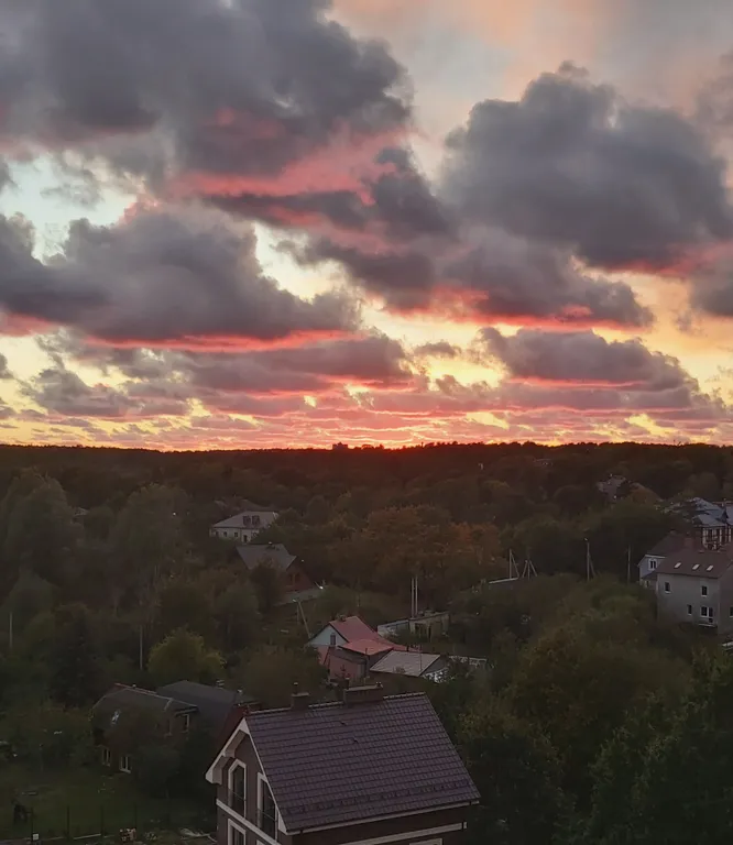 Квартира Квартира Студия у моря — Светлогорск