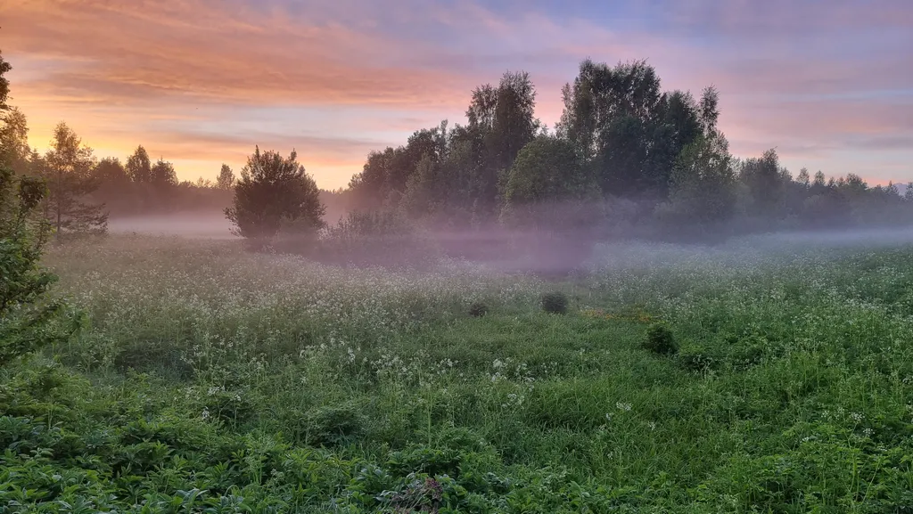 Дом у озера Мстижа