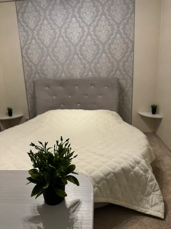 Квартира Омск, Кировский у ТЦ Мега — аренда посуточно в Омск